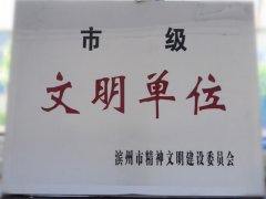 喜訊！公司榮獲“市級文明單位”稱號